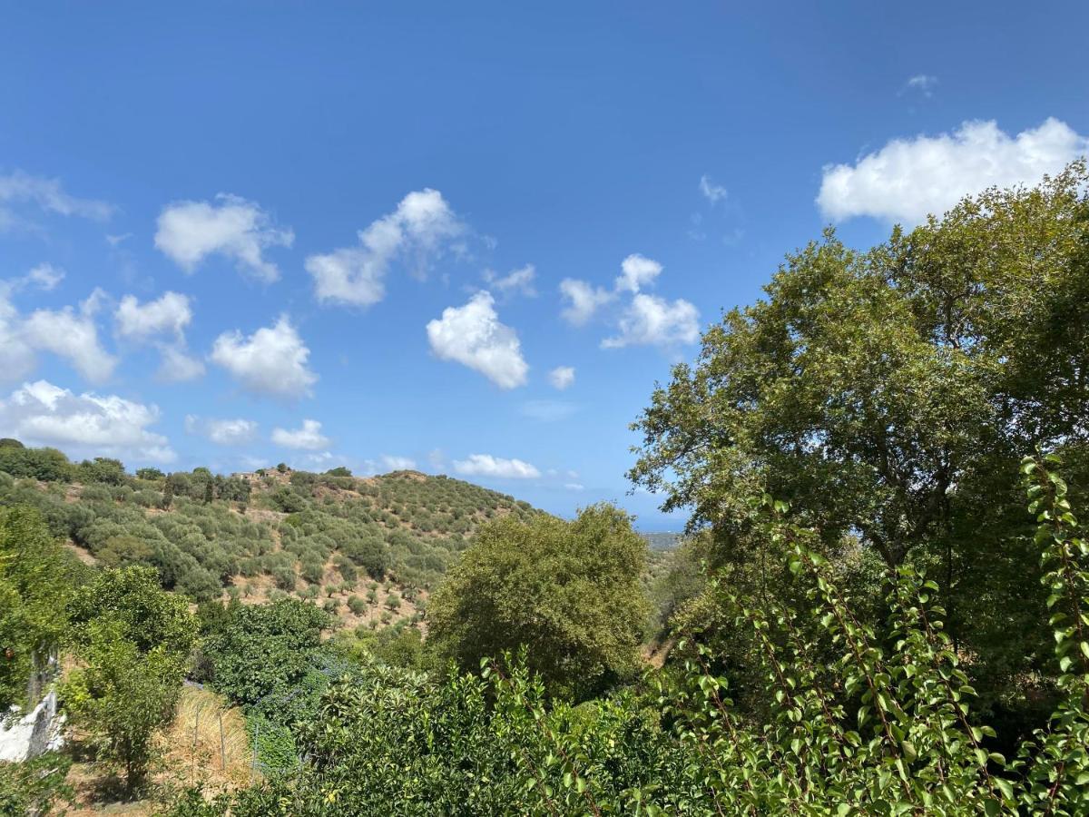 The Garden House, * Sitia (Crete)